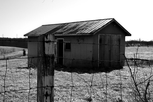 blackandwhite tree field grass barn rural landscape decay farm shed barbedwire ruraldecaykentucky