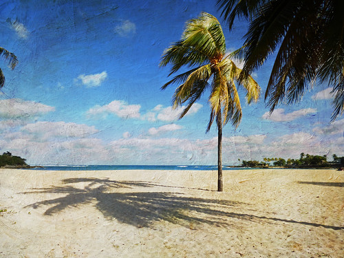 vacation holiday beach paradise havana cuba tropical caribbean playadeleste magicunicornverybest villabacuranao
