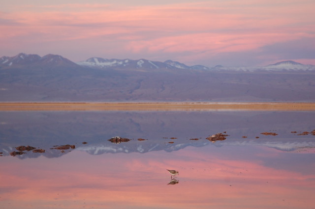 Sunset at Laguna Tebinquinche, San Pedro de Atacama