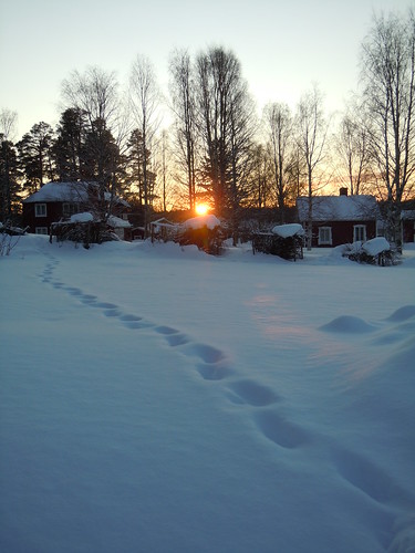 winter sun snow ice sol is vinter sweden lappland tracks lapland snö fredrika spår vintersol
