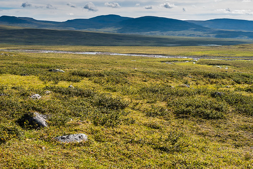 norway tundra troms landskap sommertur dividalen flybilde
