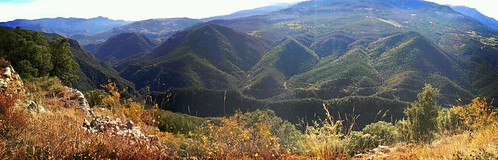 cliff mountain tree green forest amazing panoramic views catalan precipice precipicio flickrandroidapp:filter=berlin