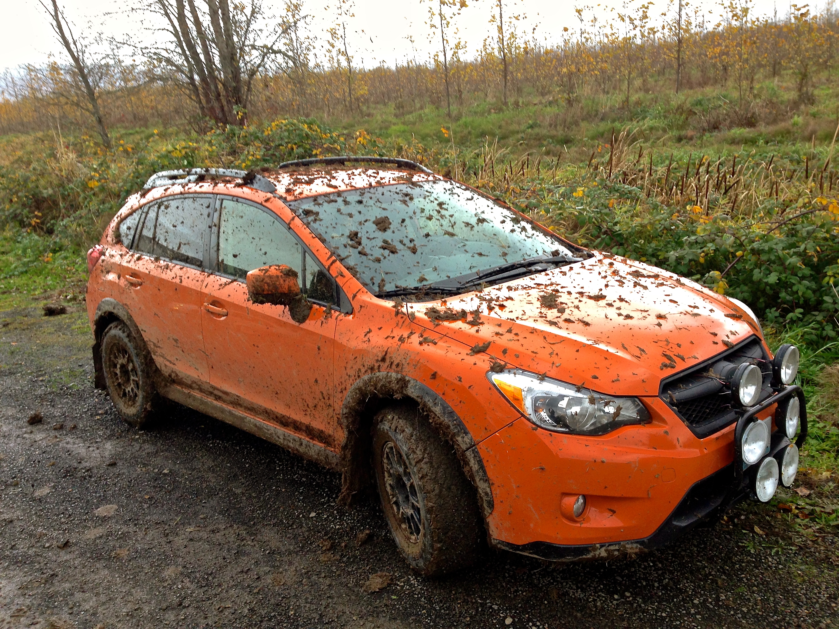 Lifted, Rally Prepped, or Just Plain Dirty Subarus?? Mud