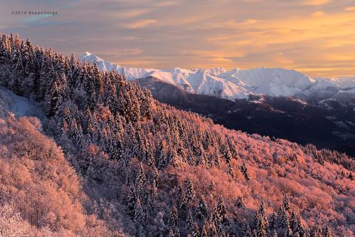 pink snow alps sunrise dawn alba rosa neve inverno alpi colline mottarone pendii mygearandme mygearandmepremium beppeverge