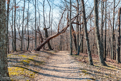 canoneos7dmkii hdr hiking landscape nashville nature phillips photography radnorlakestatepark sigma18250mmf3563dcmacrooshsm tnstateparks tennessee tennesseestateparks usa unitedstates winter outdoors geo:country=unitedstates camera:model=canoneos7dmarkii camera:make=canon geo:lon=86792221666667 geo:lat=36065555 geo:city=nashville exif:isospeed=250 geo:state=tennessee exif:aperture=ƒ35 geo:location=phillips exif:model=canoneos7dmarkii exif:lens=18250mm exif:focallength=18mm exif:make=canon