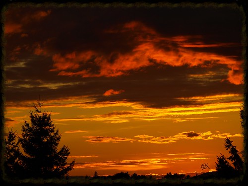 trees sunset clouds skies goldensky redclouds eveningskies sunsetskies silhouettedtrees allclouds earlyeveningskies skyawesomeskies earlyeveningsunset treesinsunsetskies