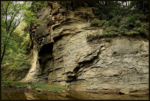 cliff creek indiana limestone sugarcreek shadesstatepark pinehillsnaturepreserve