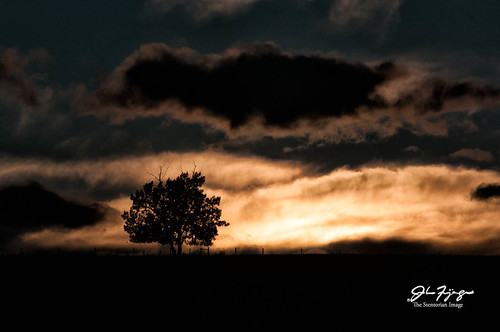 sunset canada tree clouds landscape evening alberta carstairs