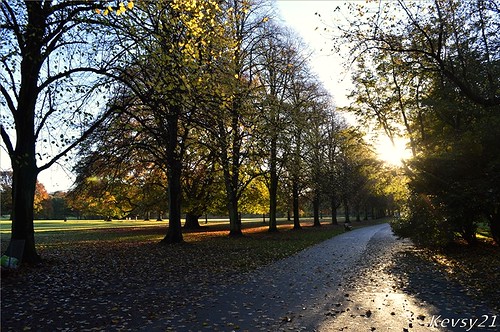 park uk autumn trees england sun tree liverpool sunrise path parks bushes merseyside calderstones exore