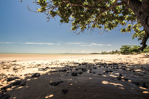 ocean trees sea beach brasil coast rocks branch espíritosanto marazul