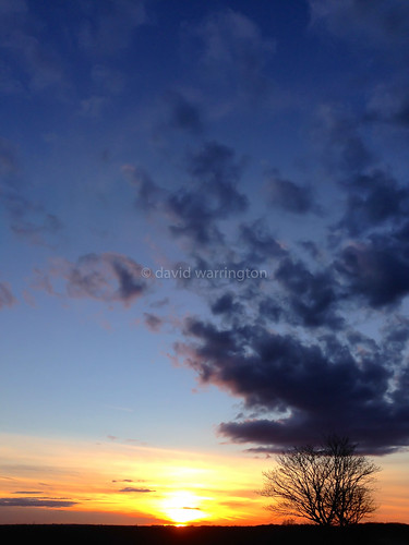 blue sunset portrait england sunlight tree apple silhouette yellow spring dusk smoke smartphone cambridgeshire lightroom iphone 2014