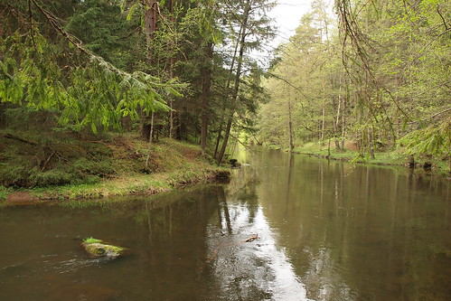 water stone river spring estonia taevaskoja ahja põlvamaa saesaare
