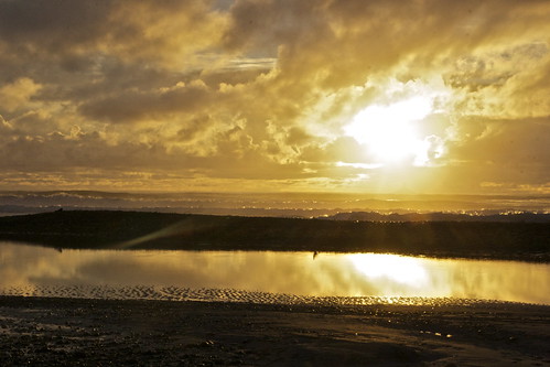ocean light sunset sea newzealand cloud reflection beach water canon landscape gold coast phormium westcoast harakeke phormiumtenax rapahoe