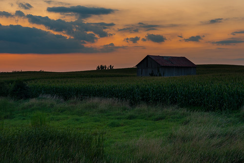 sunset ontario canada barn rural corn glow farm puslinch