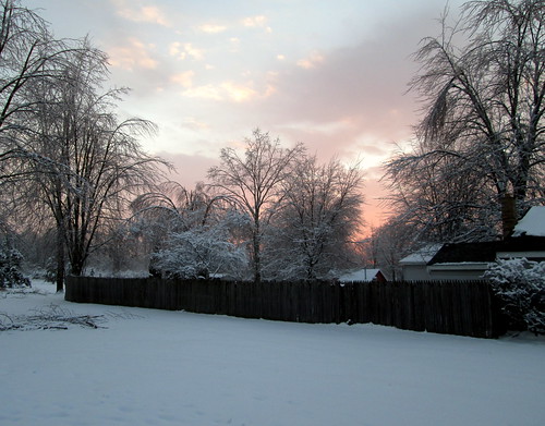 trees winter sunset sky snow ice