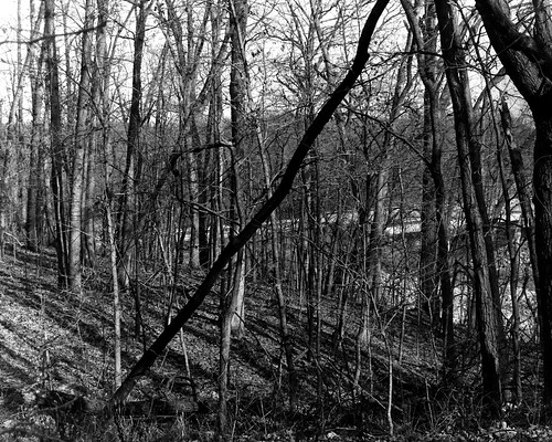 blackandwhite bw monochrome analog 35mm blackwhite minolta minoltax700 filmphotography lakeshelbyville