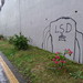 LSD Grafitti near Liuxiandong, Shenzhen, China