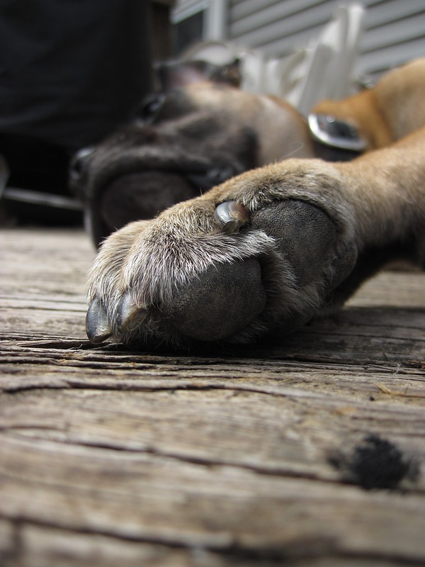 Close up of Greta's foot