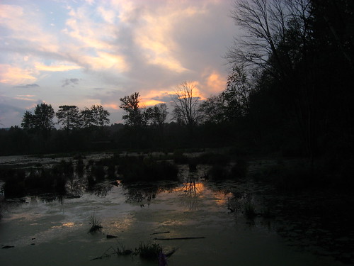 light sunset reflection clouds ma us unitedstates reflejo wetlands pittsfield lateday berkshirecounty canoemeadows