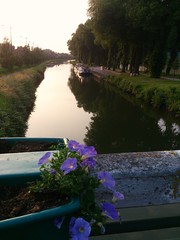 The Canal at Abbeville