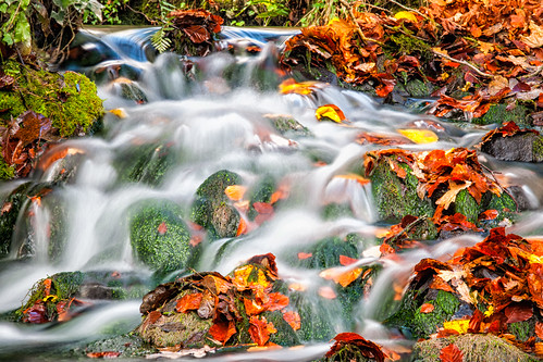 autumn ireland stream olympus e3 tipperary clonmel zuiko 1260mm stpartickswell