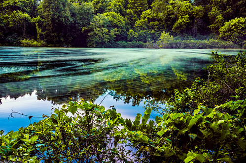 longexposure blue trees summer lake motion color green nature water horizontal forest landscape outdoors us movement pond day unitedstates nobody westvirginia pointpleasant masoncounty mcclintock tntarea