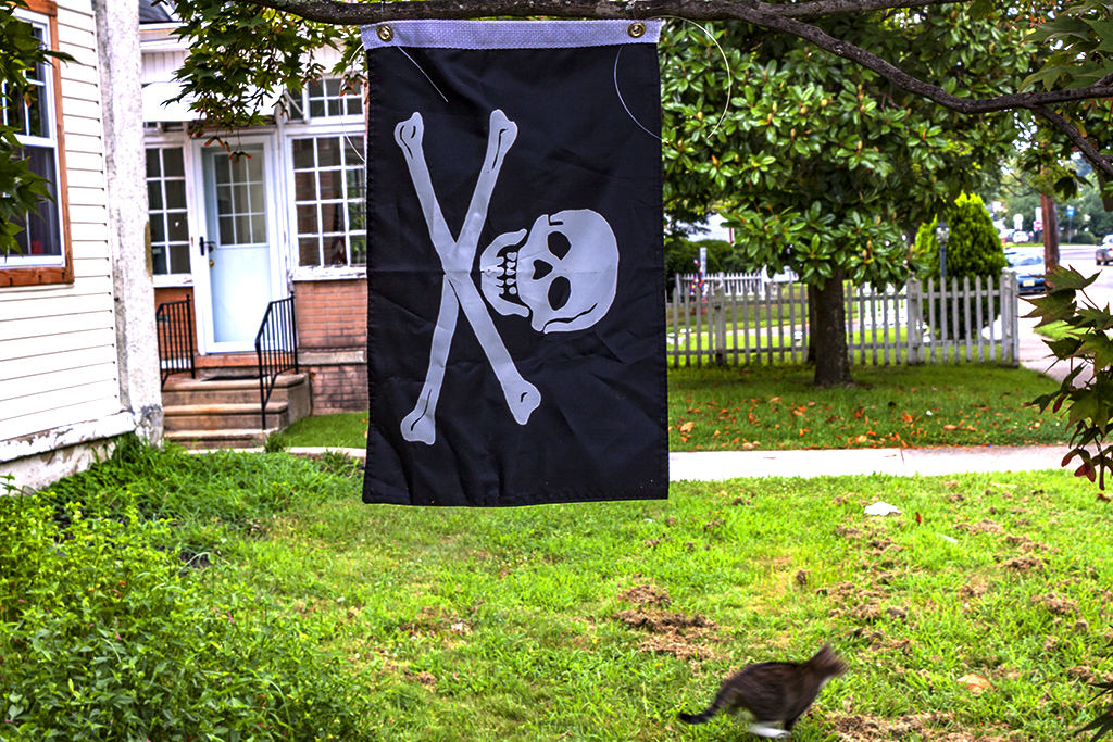 Pirate-flag-and-cat--Collingswood