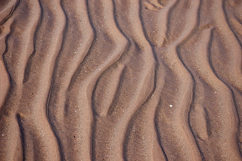 ocean texture beach water sand october pattern mud beachpoint 2013 murrayharbour