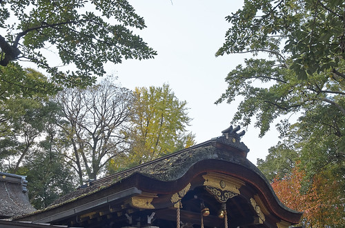【写真】2013 紅葉 : 護王神社/2021-09-27/IMGP4239