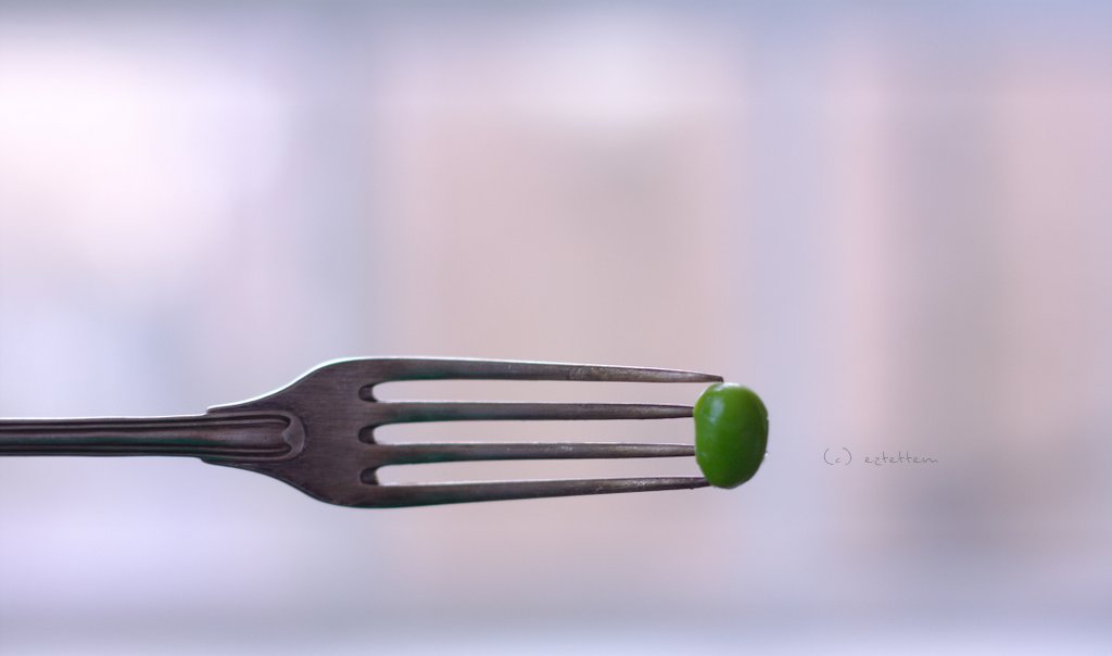 soybean on a fork