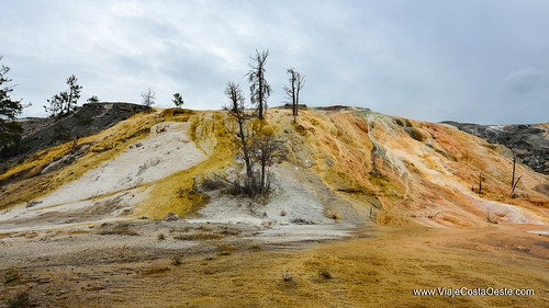 VIAJE COSTA OESTE EE.UU. - Blogs de USA - Yellowstone - Zona Norte (11)