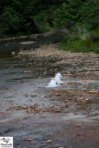 creek pennsylvania pa blacklick vintondale rlb2creations rlb2photography
