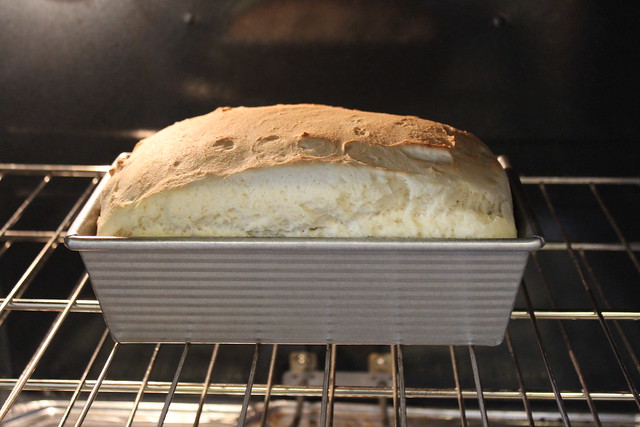 Gluten Free Bread Rising in Oven