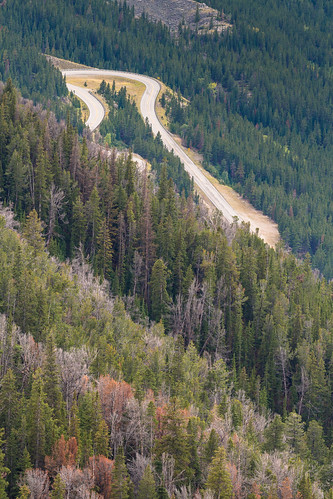 road usa mountain valley northamerica yellowstone wyoming