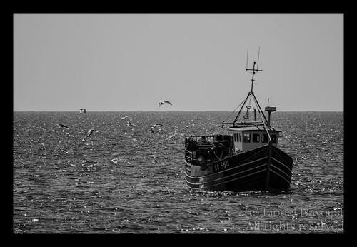 Fishing_boat_on_the_way_home