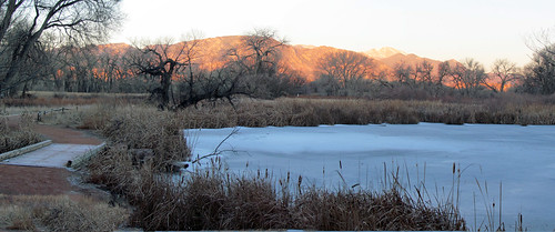 morning winter ice nature fountain creek frozen pond colorado peak center explore co pikes marsh floyd ponds muaddib pikespeak cattail explored inexplore fountaincolorado fountainco fountaincreeknaturecenter floydmuaddib