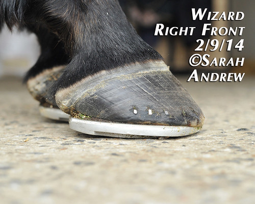 Wizard's New Rocker Shoes