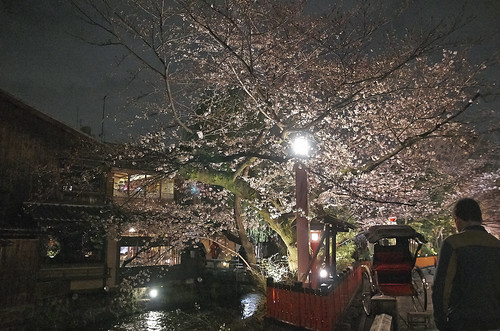 【写真】2014 桜 : 祇園白川/2021-07-02/IMGP5582