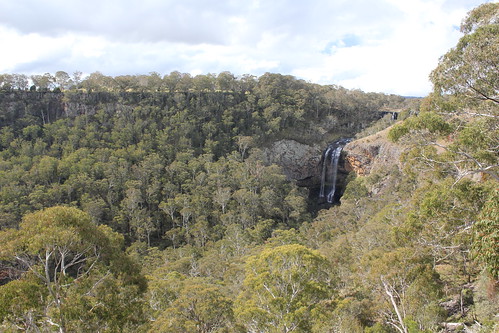 trees nature forest landscape waterfall nationalpark scenery view outdoor newengland australia lookout valley nsw viewpoint dorrigo