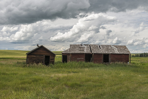 summer sky canada barn buildings geotagged afternoon outdoor decay farm oldbuildings alberta prairie geotag stormcloud raincloud stratocumulus highway21 threehills architecturalphotography roughtexture landscapephotography exteriorarchitecture bwcircularpolarizer nikond800 farmoutbuilding nikonafsnikkor2470mm128g