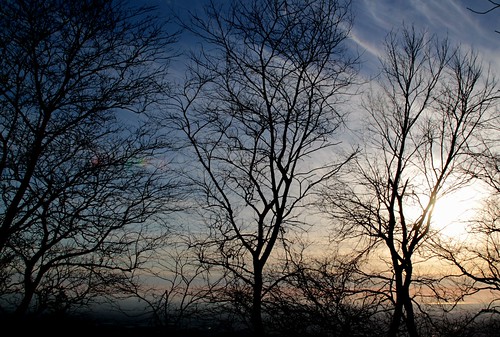 tramonto sunset alberi trees nuvole clouds brianeno