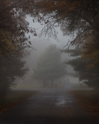 road morning autumn trees mist tree wet fog wisconsin canon landscapes frost framing subjects thaw eauclaire 60d