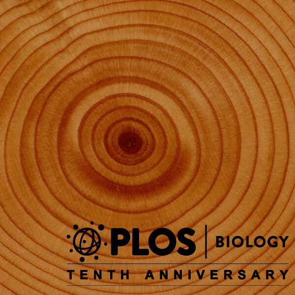 Tenth Anniversary PLOS Biology Collection cover image