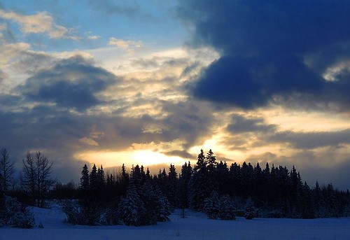 winter sunset snow tree station golf lodge gas pines