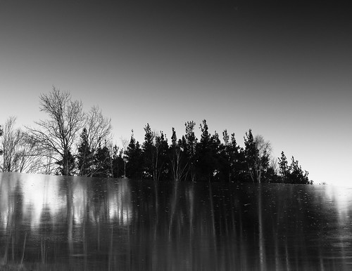trees winter bw white abstract black reflection ice water beauty contrast germany landscape bavaria photograph fujifilm x100s