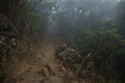 fog landscape geotagged malaysia borneo mountkinabalu ranau mountkinabalutrail