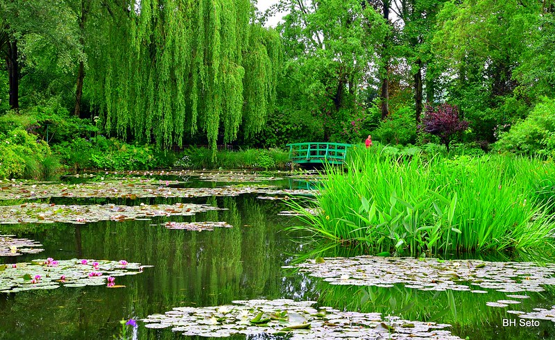 Claude Monet jardin nenudares