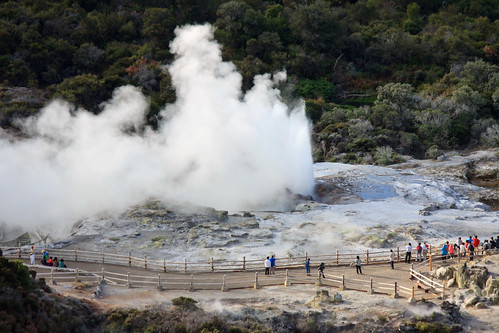 newzealand rotorua northisland geyser pohutu