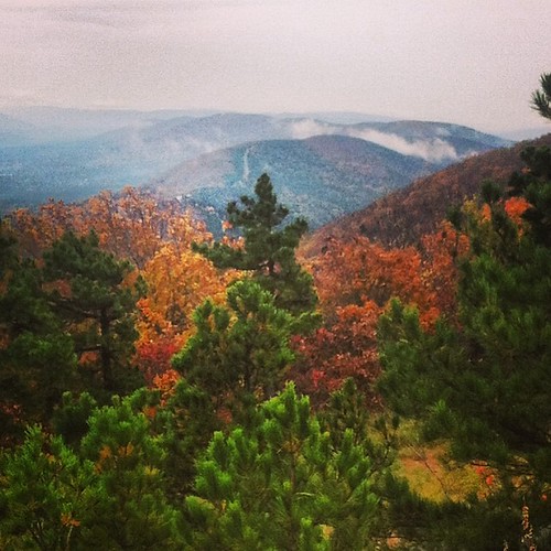 square squareformat iphoneography uploaded:by=instagram foursquare:venue=4c8513b847cc224bb1799d9f oklahoma autumn fall leaves trees colors fallcolors autumnleaves clouds mist mountains ouachita nationalforest ouachitamountains talimenascenicdrive nationalscenicbyway easternoklahoma talimena