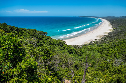byronbay trees beach pacificocean australia coastal newsouthwales capebyron nsw